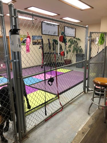 Mission Mountain Pet Service Inc.: 11 7th Ave W, Polson, MT 59860